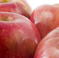 Picture of Sweet & Crisp Fuji Apples