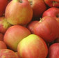 Picture of Jonagold Apples