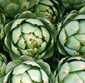 Picture of Jumbo Artichokes