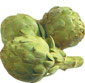 Picture of Extra Large Artichokes