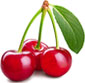 Picture of Northwest Cherries Red Bing Cherries