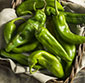 Picture of Hatch Chiles
