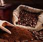 Picture of Buckmaster or Cafe Organica Coffee