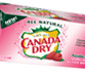 Picture of Canada Dry Seltzer