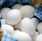 Picture of Willamette Valley Large Eggs