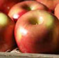 Picture of Fuji Apples