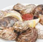 Picture of Fresh In the Shell Oysters