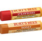 Picture of Burt's Bees Lip Balm