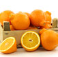 Picture of Minneola Tangelos