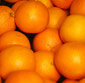 Picture of Organic Juice Oranges