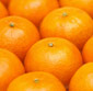 Picture of Halos Mandarins