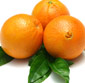 Picture of Navel Oranges