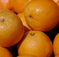 Picture of Juice Oranges