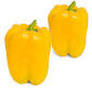 Picture of Red, Yellow or Orange Bell Peppers