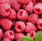 Picture of Raspberries
