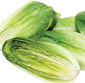Picture of Romaine Hearts