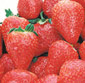 Picture of Strawberries