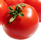 Picture of Sunset Campari Tomatoes