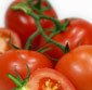 Picture of Loose Vine Tomatoes