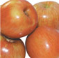 Picture of Washington Fuji Apples