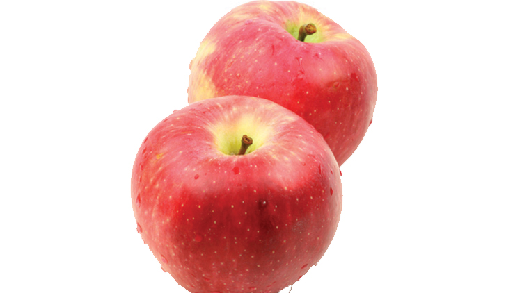 Picture of Washington Premium Pink Lady, Large Koru or Smitten Apples