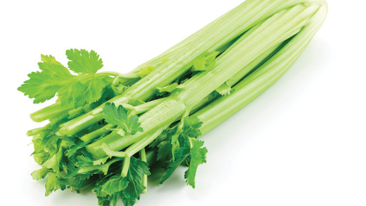 Picture of California Fresh Celery