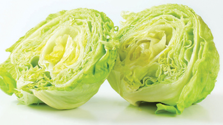 Picture of Iceberg Lettuce