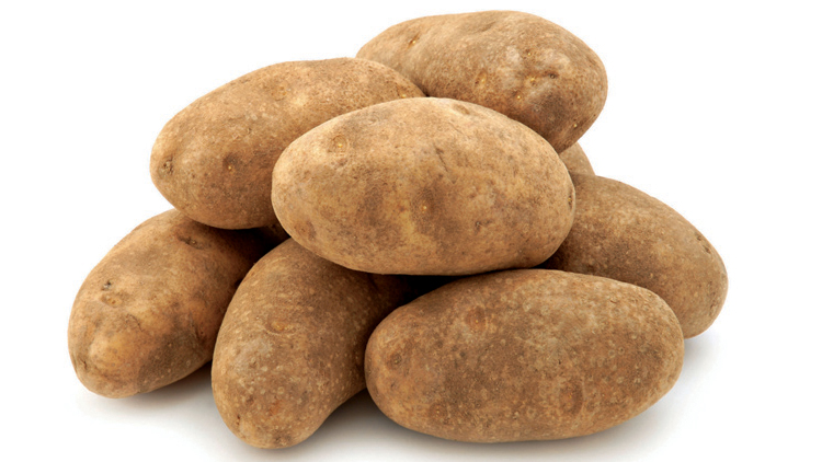 Picture of Best Choice Jumbo Russet Potatoes