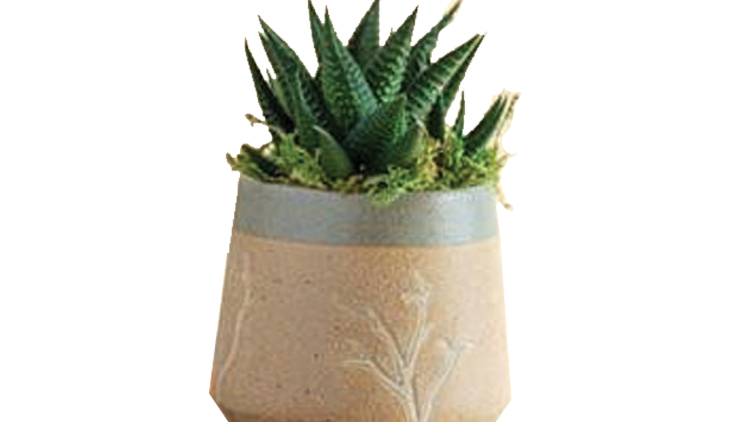 Picture of Tree Limbs Planter with Plant