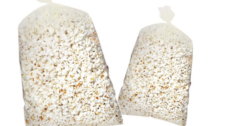 Picture of Small White Popcorn